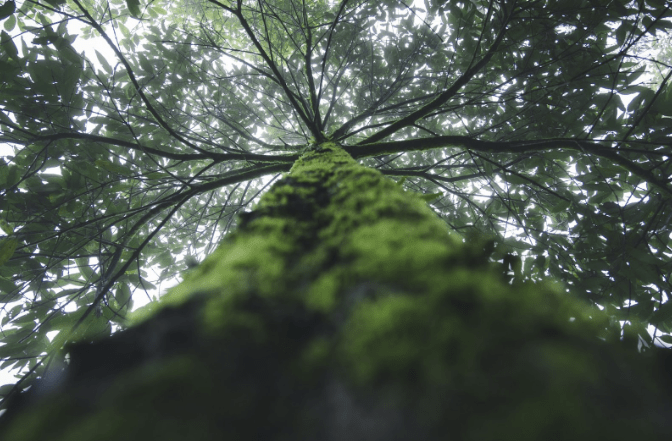 Sustainability